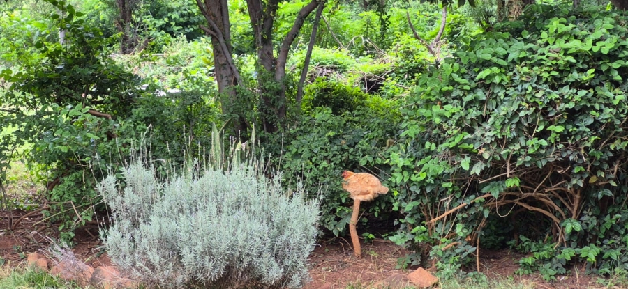 7 Bedroom Property for Sale in Modderfontein AH North West